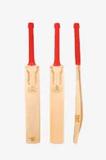 ZAP bat